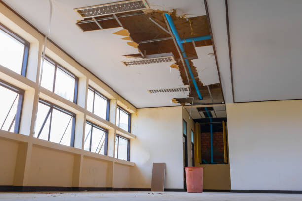 Best Flood damage cleanup  in Heeia, HI