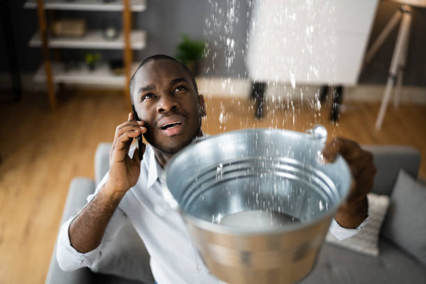 Best Carpet water damage restoration  in Heeia, HI