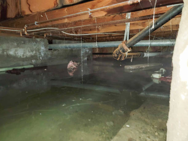Best Water damage restoration near me  in Heeia, HI
