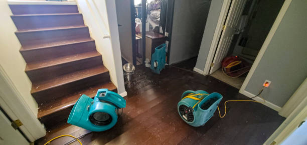 Best Mold removal after water damage  in Heeia, HI