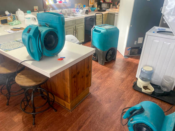 Best Water damage restoration services  in Heeia, HI