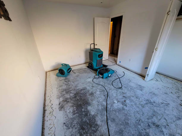 Best Water damage repair service  in Heeia, HI