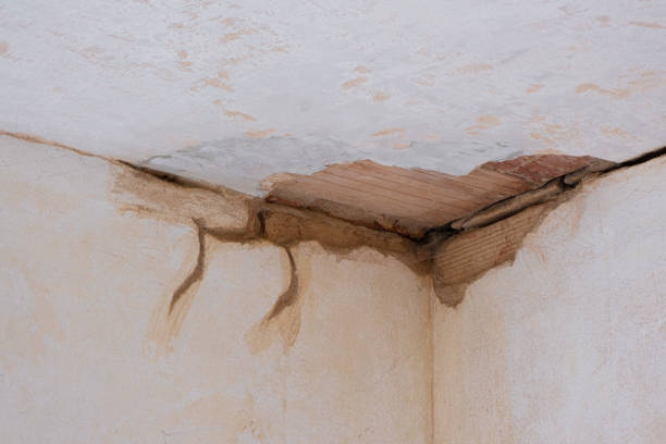  Heeia, HI Water damage restoration Pros