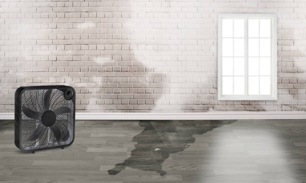 Best Commercial water damage restoration  in Heeia, HI