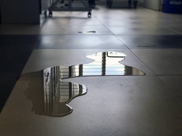 Best Carpet water damage restoration  in Heeia, HI