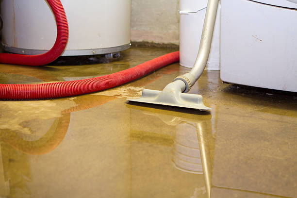 Best Flooded house restoration  in Heeia, HI