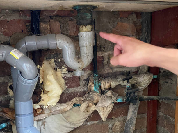 Trusted Heeia, HI Water damage restoration Experts