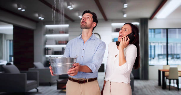  Heeia, HI Water damage restoration Pros