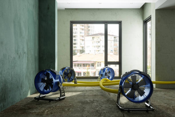 Best Residential water damage restoration  in Heeia, HI